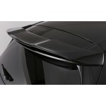 Οπίσθια αεροτομή οροφής PIECHA Design για Mercedes-Benz A-Class (W176)